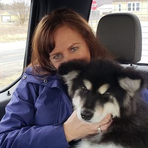 Meet your Posher, Joyce